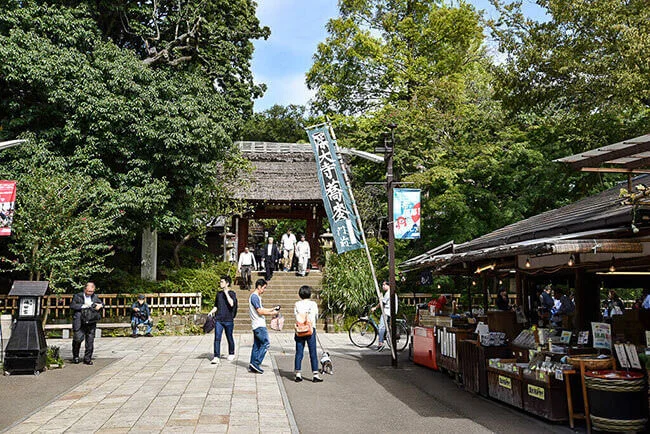 Article 'Jindaiji Motomachi'