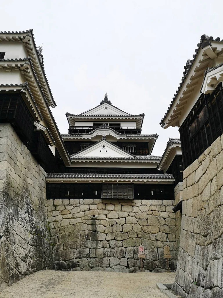 Article 'Matsuyama Castle'