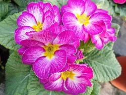 00.webp
