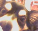 0000w51q-1.webp