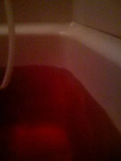 001008d0ah5cq8-1.webp