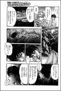 035-1.webp