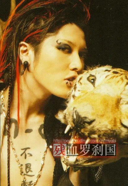 06ddf-1.webp