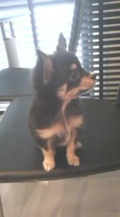 080806103102tx2-1.webp