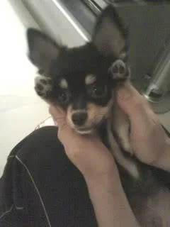 080908052902iy7-1.webp