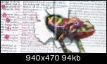 097noth-1.webp