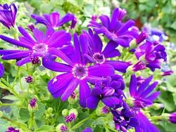 099.webp