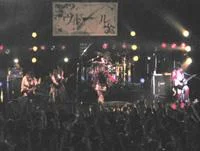 10028364np6-1.webp