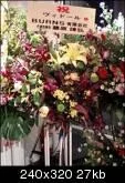 10029272da5th-1.webp