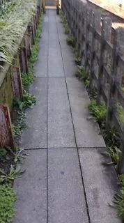 10031255145vm8-1.webp