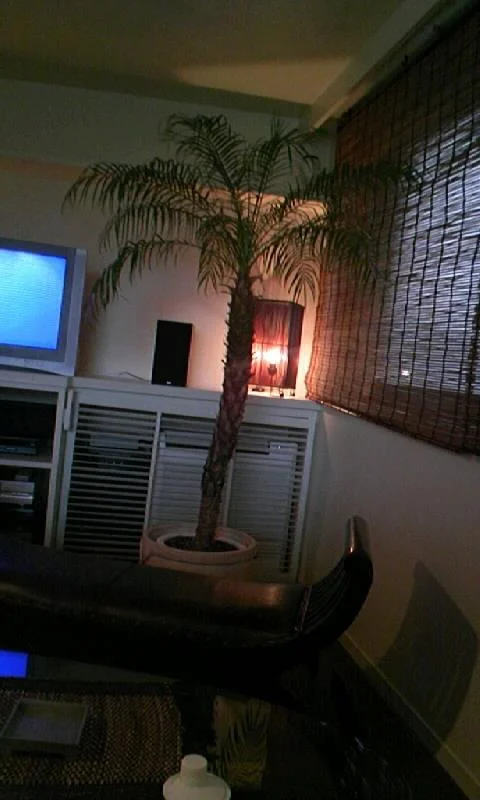 10031408146cz1-1.webp