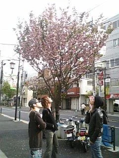 10035435gl5-1.webp