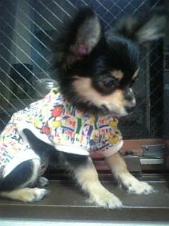 10035882jb5-1.webp