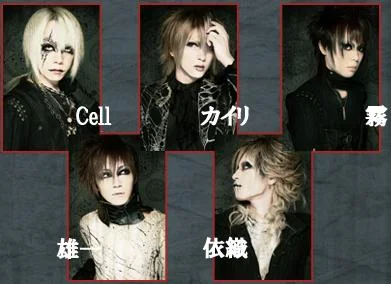 10047278cm2-1.webp