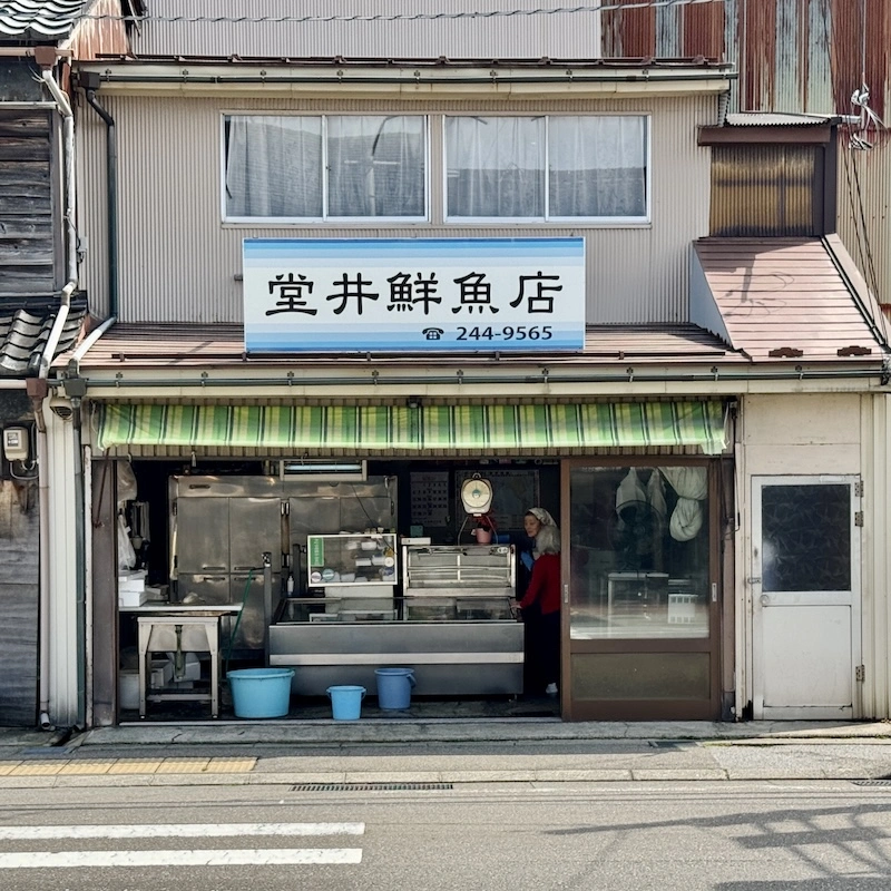 11.webp