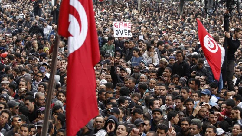 110114205421_demonstrate_against_tunisia-1.webp