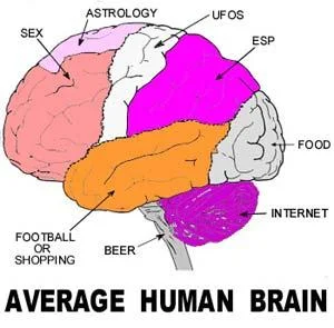 121704BRAIN-1.webp