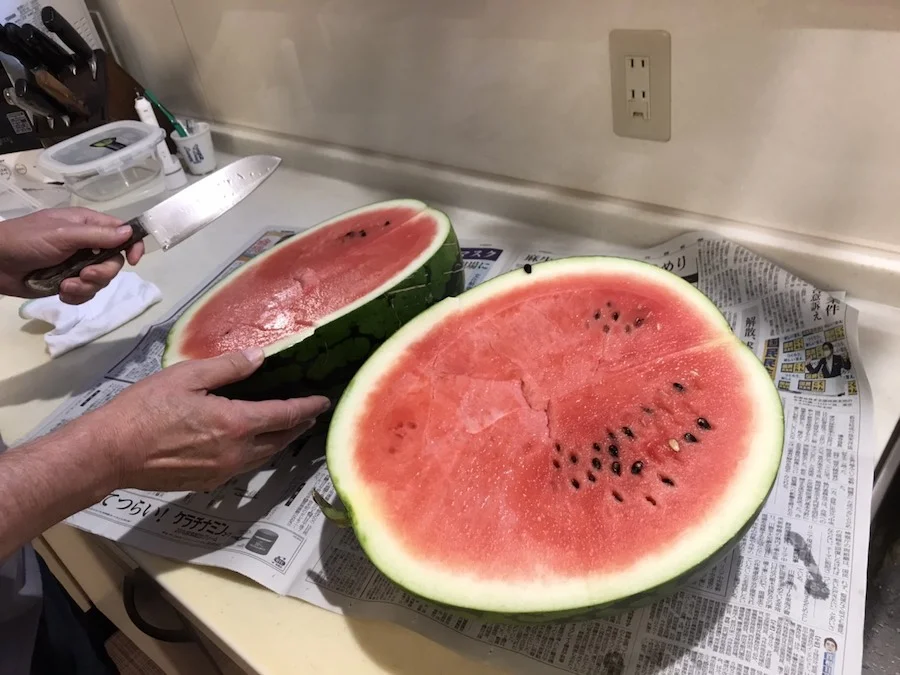 12337817945498.webp