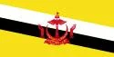 125pxFlag_of_Bruneisvgpng-1.webp