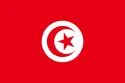 125pxFlag_of_Tunisiasvgpng-1.webp