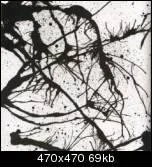 148zoth-1.webp