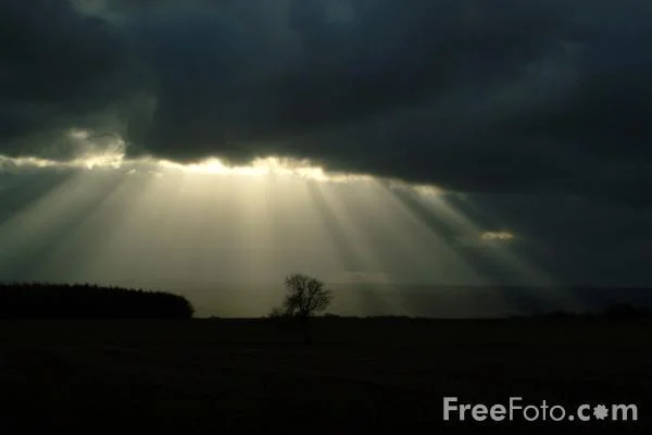 15_78_6RaysofSunshineagainstadramaticbla-1.webp