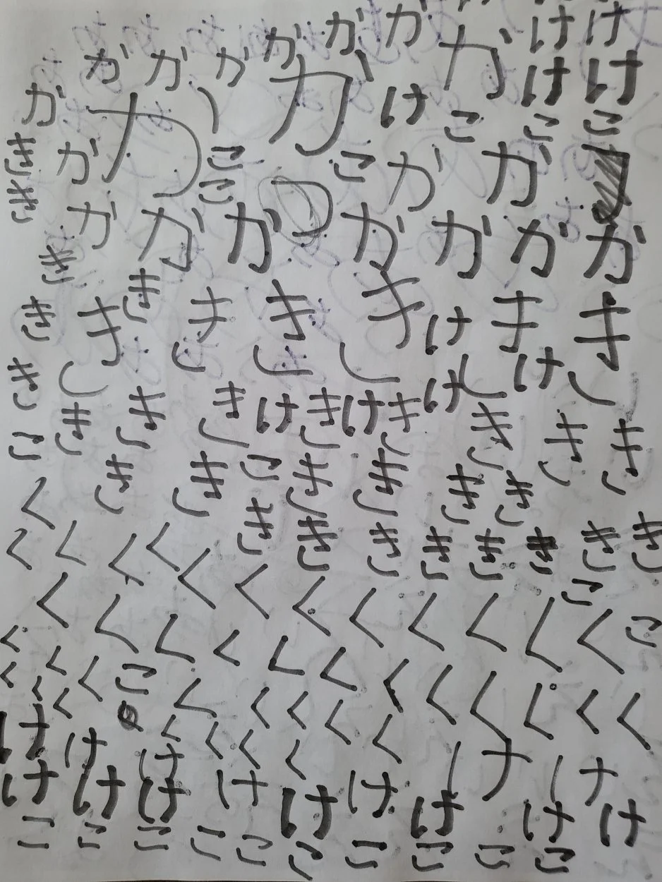 16541264892305320236441384421331.jpg