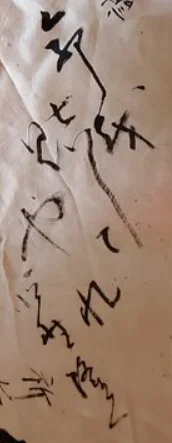 1683213942296.webp