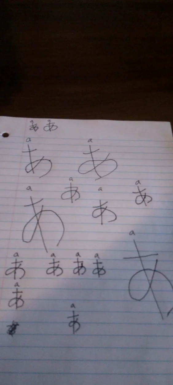 1690318532697.webp
