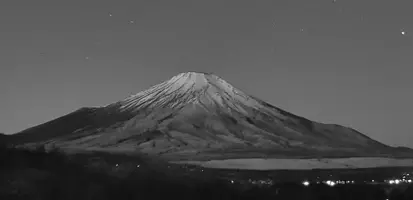 1735750518975.webp