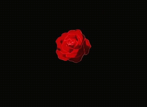 1A5D598C-913C-423C-A9C0-AE9536E0FE90.gif