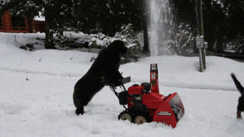 200.gif