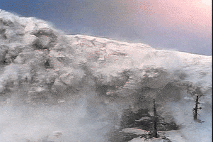 200.gif