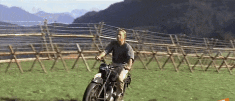 200.gif