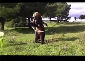 200.gif