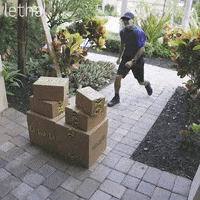 200.gif