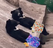 200.gif