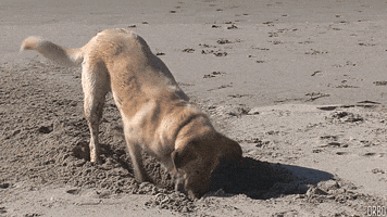 200.gif