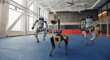 200.gif
