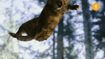 200.gif