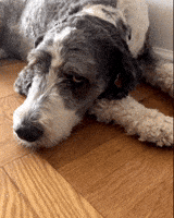200.gif