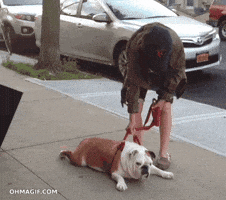 200.gif
