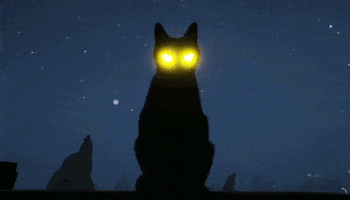 200.gif