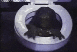 200.gif
