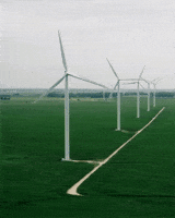 200.gif