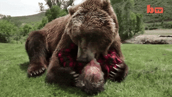 200.gif