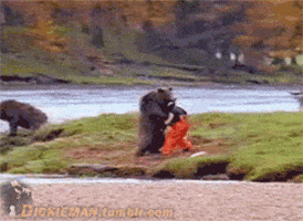 200.gif