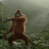 200.gif