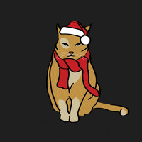 200.gif
