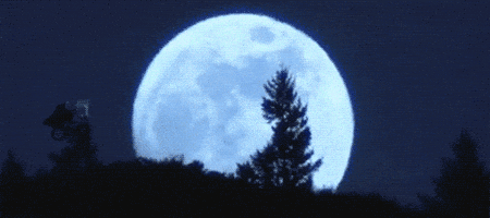 200.gif
